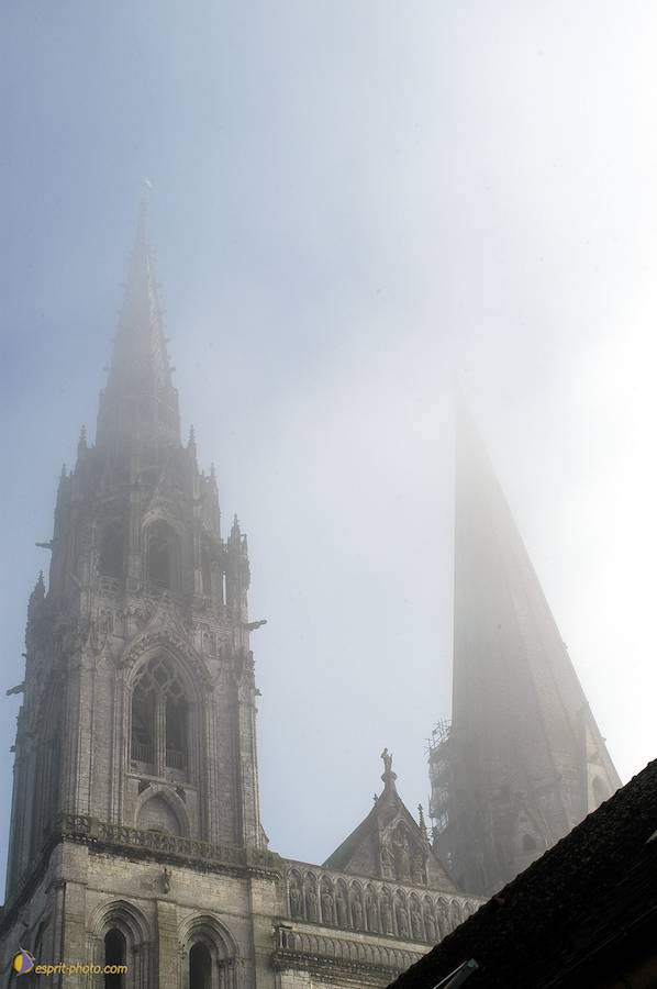 Nom de l'image : D1107463-01_(c)Norbert-JUNG — Description :